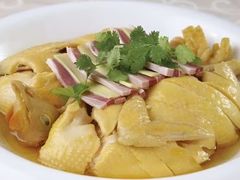 -天鹅到家·保姆月嫂育儿嫂(天河店)