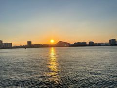 -星光岛