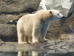 -海合安武汉极地海洋公园
