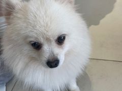 -怪兽屋·羊驼·猫咖·狗咖(俊华广场店)