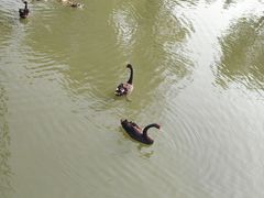 -同济大学(嘉定校区)