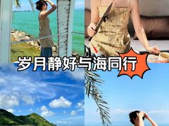 -枸杞岛