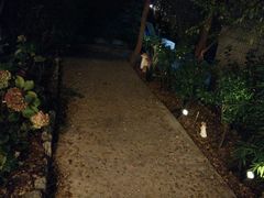 -风车面包