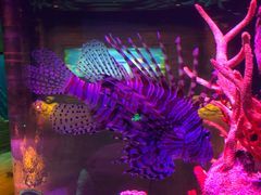 -沈阳海洋探索中心