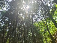 -金堂县云顶石城风景区