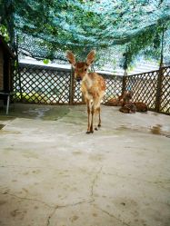 -萌宠亲子动物乐园(槐房万达店)