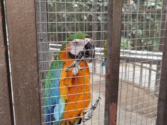 -南宫五洲植物乐园