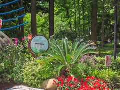 -徐家汇源景区-衡山公园