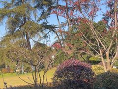 -浙江西子宾馆·牡丹厅