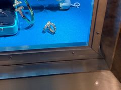 -Tiffany & Co.蒂芙尼
(天津万象城店)