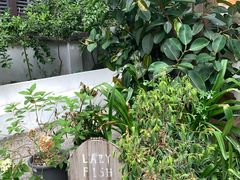 -懒鱼时光馆(沙坪坝店)
