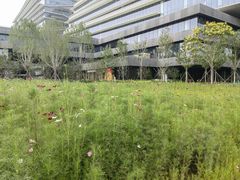 -北沙滩(地铁站)