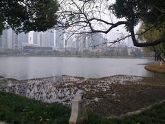 -西北湖绿化广场