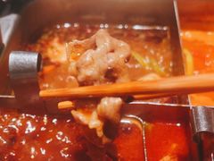 -海底捞火锅鲜切牛肉主题店(长寿路店)