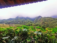 -鹿院坪生态旅游景区