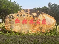 -大亚湾红树林城市湿地公园