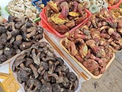 -五里多农博广场