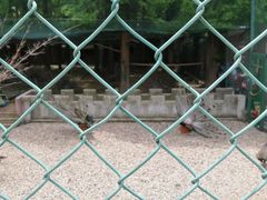 -南京金牛湖风景区