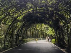 -杭州野生动物世界