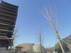 -牛首山文化旅游区