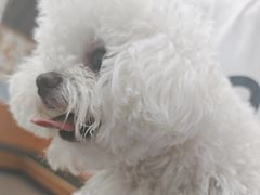 -联合动物医院(光谷诊疗中心)