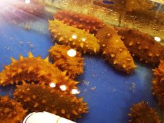-金海湾海鲜总店