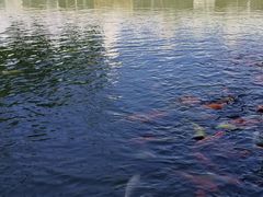 -珠海圆明新园