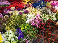 -双季花艺园艺市场(浦东店)