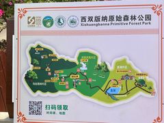 -西双版纳原始森林公园