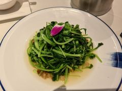 碎油渣炒鸡毛菜-北平楼·烤鸭·北京菜(牡丹园店)