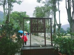 -瑞穗牧场