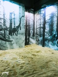 -恐龙探索乐园(磁器口店)