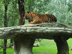 -北京野生动物园