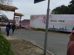 -南汇桃花村
