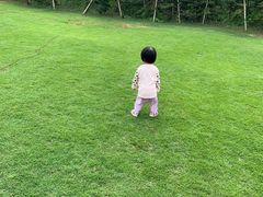 -迪茵湖田家舍生态农场