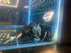 -北海富丽华大酒店·御园中餐厅