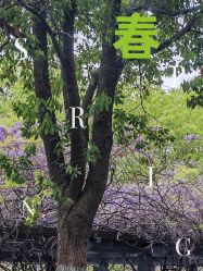 -上海市儿童医院(泸定路院区)