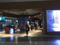 -日上免税店(三径路t3店)