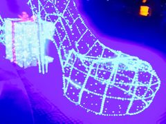 -洛阳郁金香牡丹园