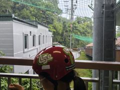 -圣淘沙天际线斜坡滑车