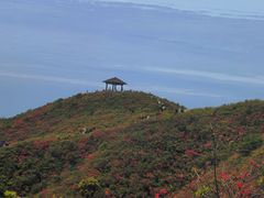 -大围山国家森林公园