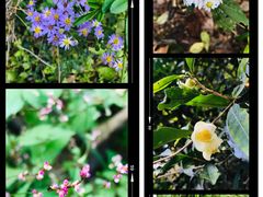 -溪口-滕头旅游景区