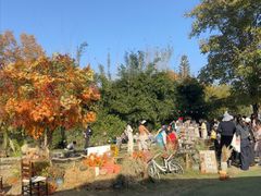 -HERRE·FARM 赫尔露营农场·团建聚会包场