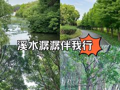 -昆山城市生态森林公园