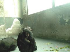 -无锡动物园·太湖欢乐园
