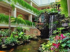 -广州白天鹅宾馆