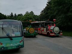 -同里国家湿地公园