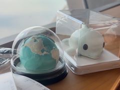 -抱抱地球咖啡馆(国家海洋博物馆店)