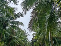 -白沙门生态公园