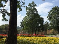 -广州市流溪河国家森林公园